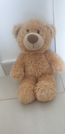 build your teddy bear