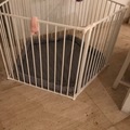 Selling: Play pen 