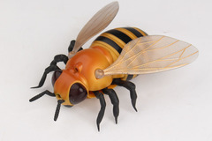 Selling: Remote Control Infrared Honey Bee Toy