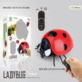 Selling: Remote Control Infrared Lady Bug Toy