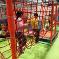 Selling: Indoor Obstacles rope course 