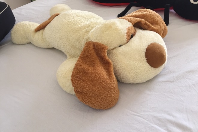 Soft toys-different size