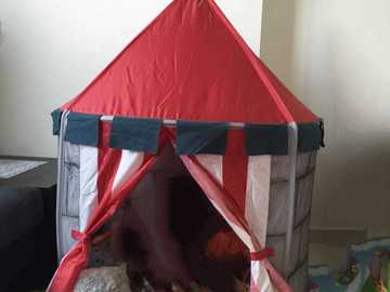 Selling: Tent