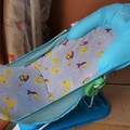 Selling: Baby Bath Support